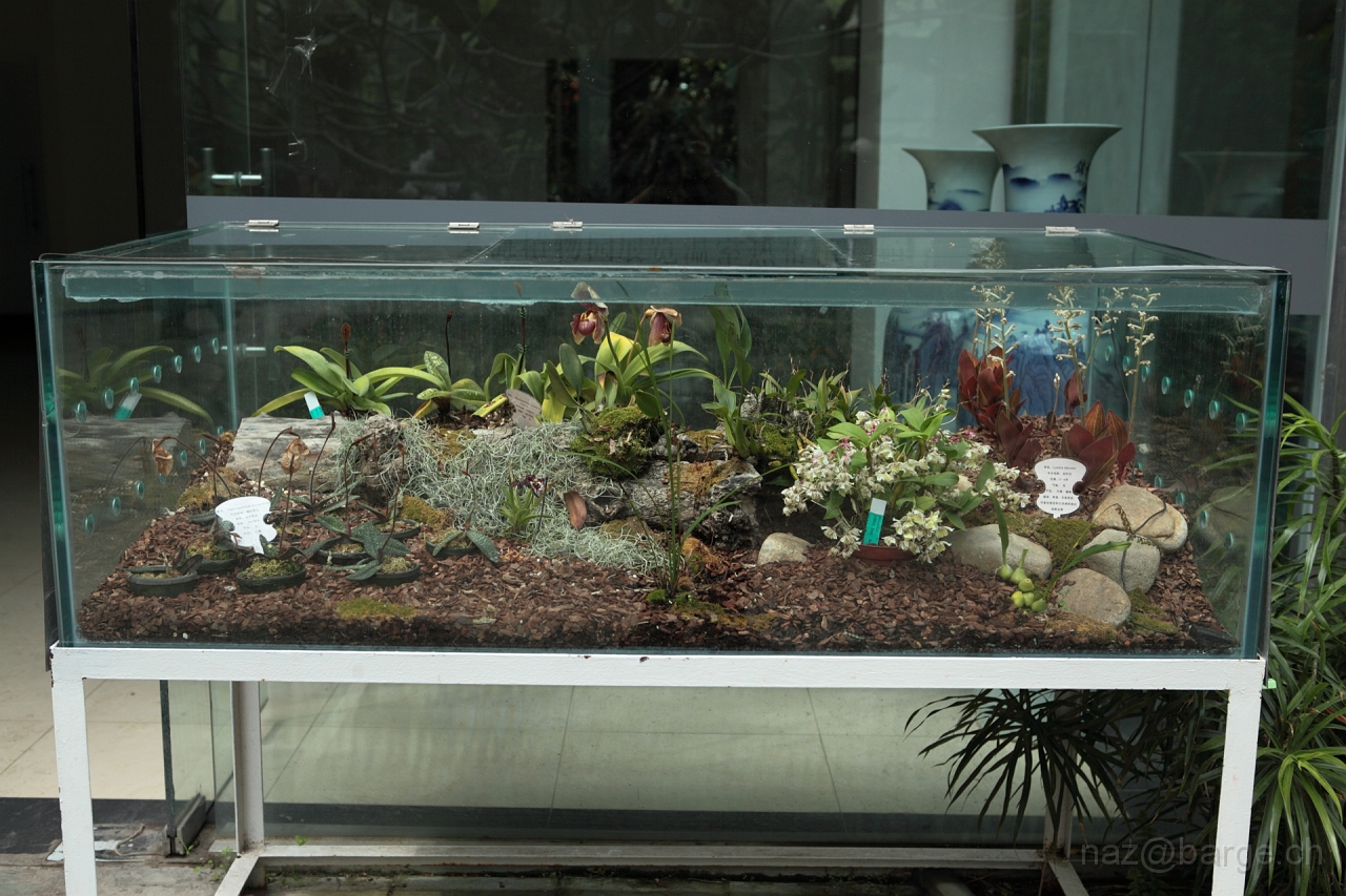 EOS 5D Mark II16_04_20135009.JPG